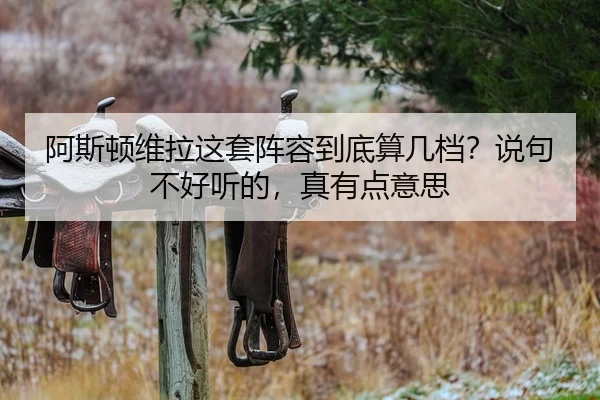 阿斯顿维拉这套阵容到底算几档？说句不好听的，真有点意思 - kaiyun