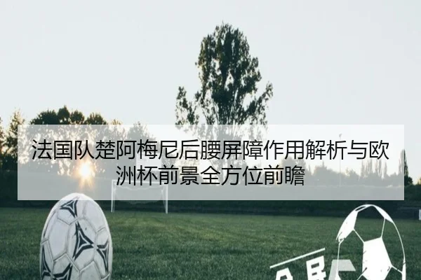 法国队楚阿梅尼后腰屏障作用解析与欧洲杯前景全方位前瞻