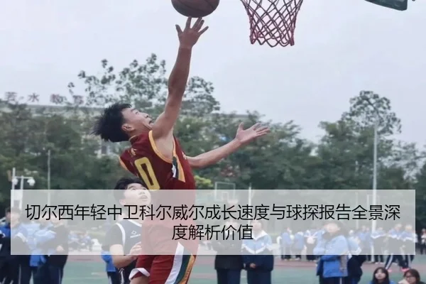 切尔西年轻中卫科尔威尔成长速度与球探报告全景深度解析价值